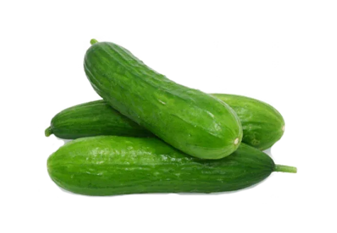 BABY CUCUMBER - Kashmir Watan Foodstores