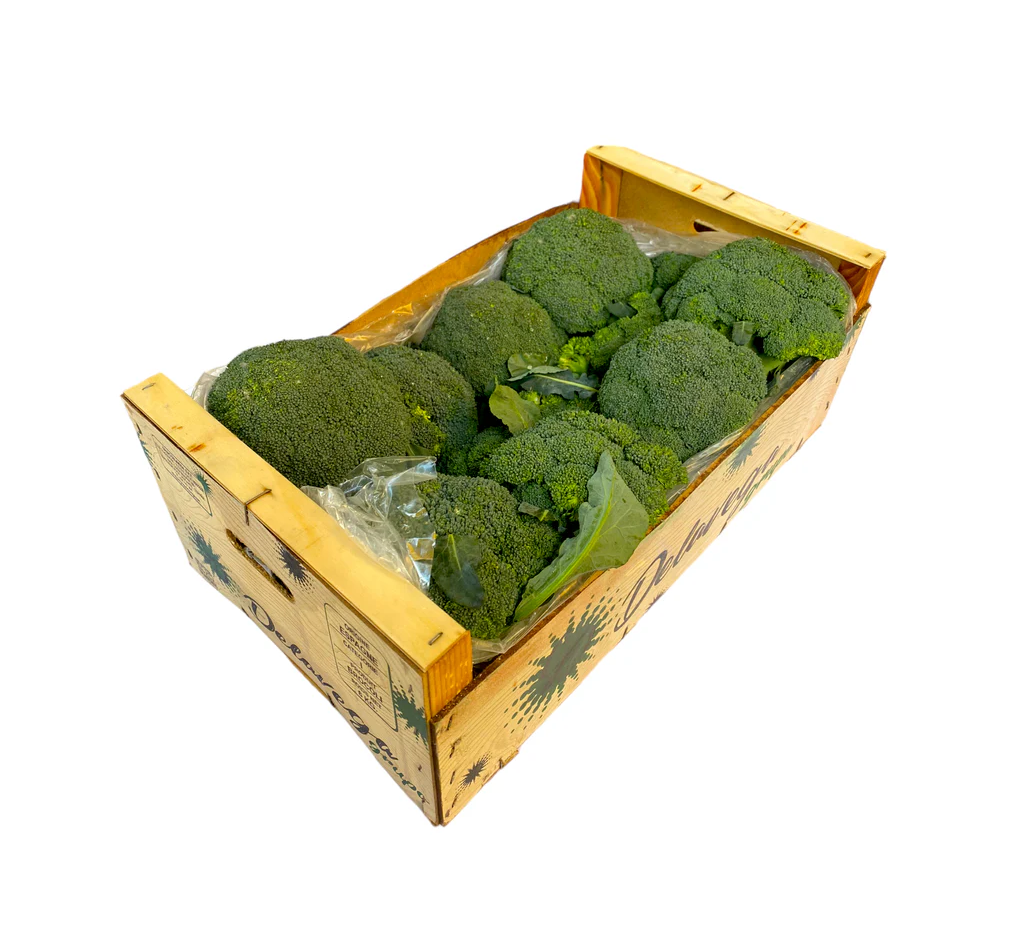 BROCCOLI BOX