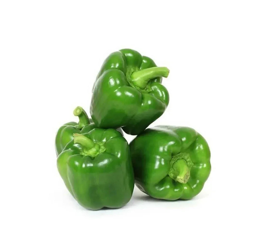 CAPSICUM GREEN - Kashmir Watan Foodstores