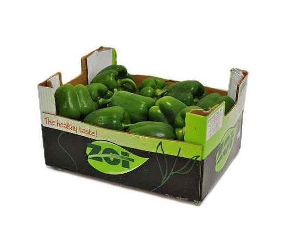 CAPSICUM GREEN BOX 5KG