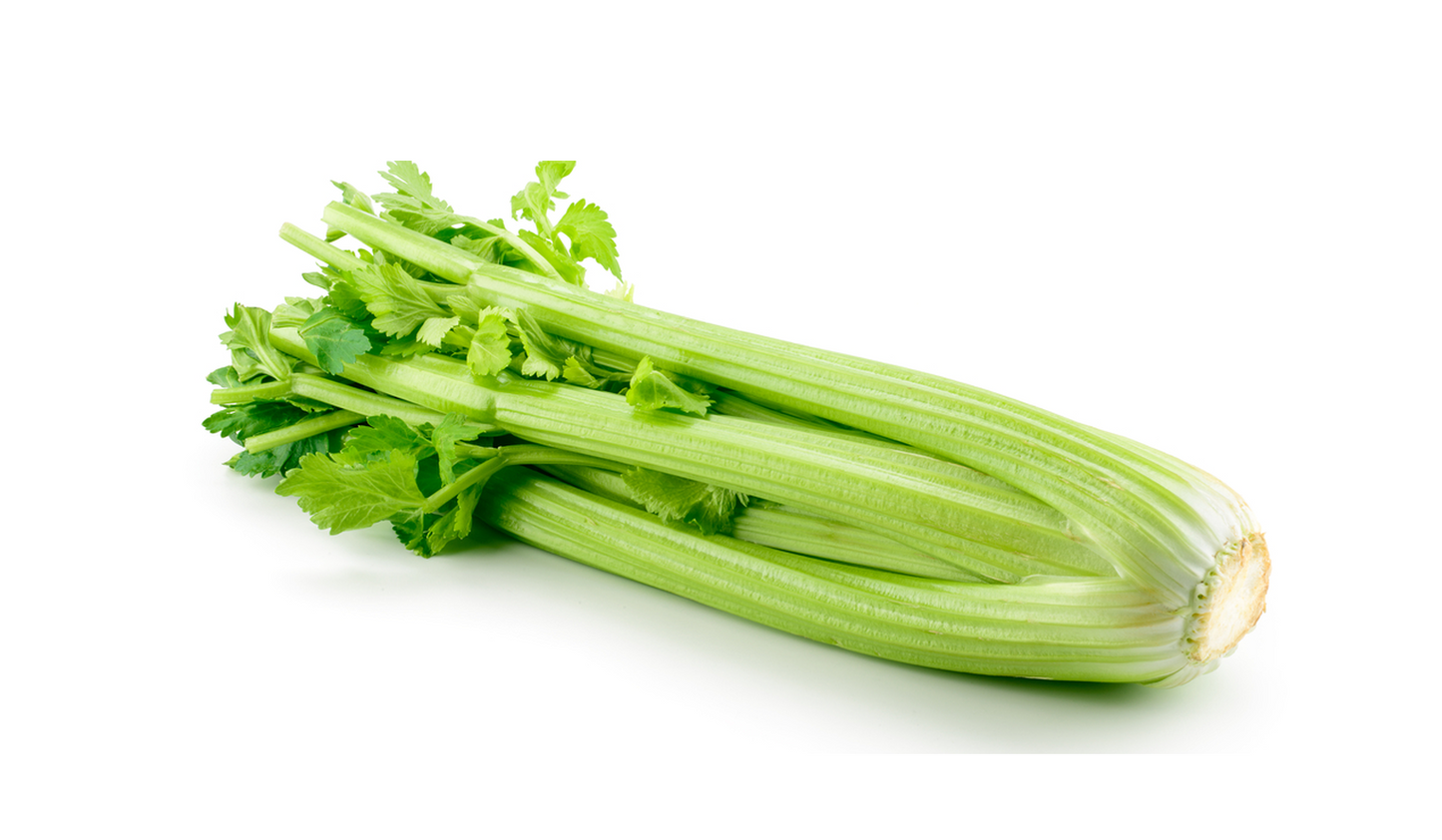 CELERY
