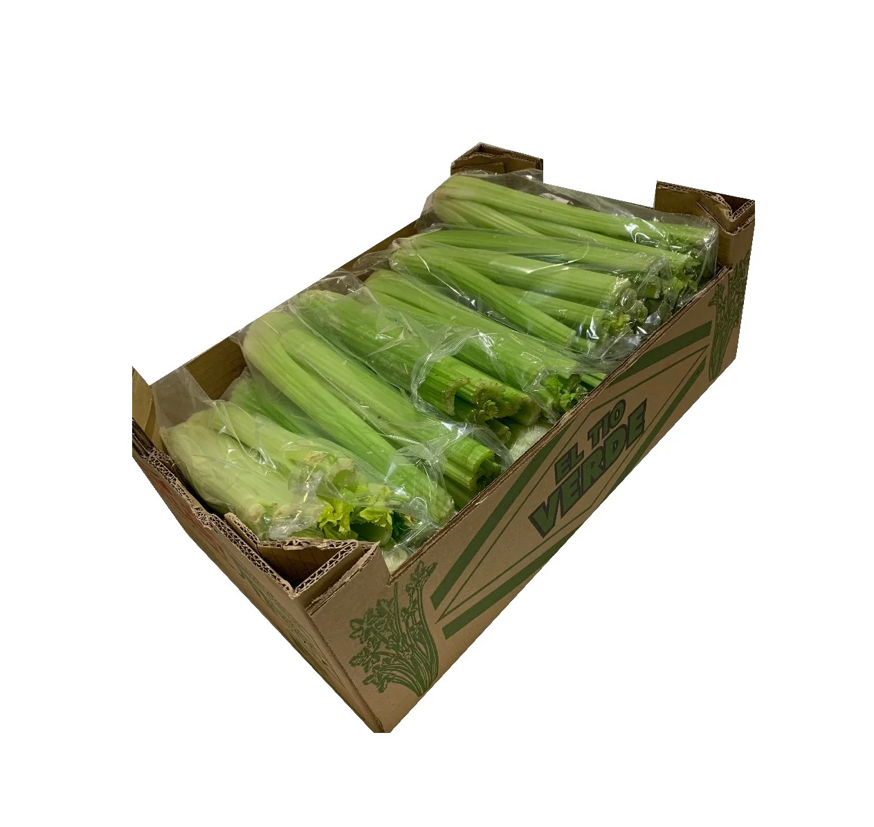 CELERY BOX