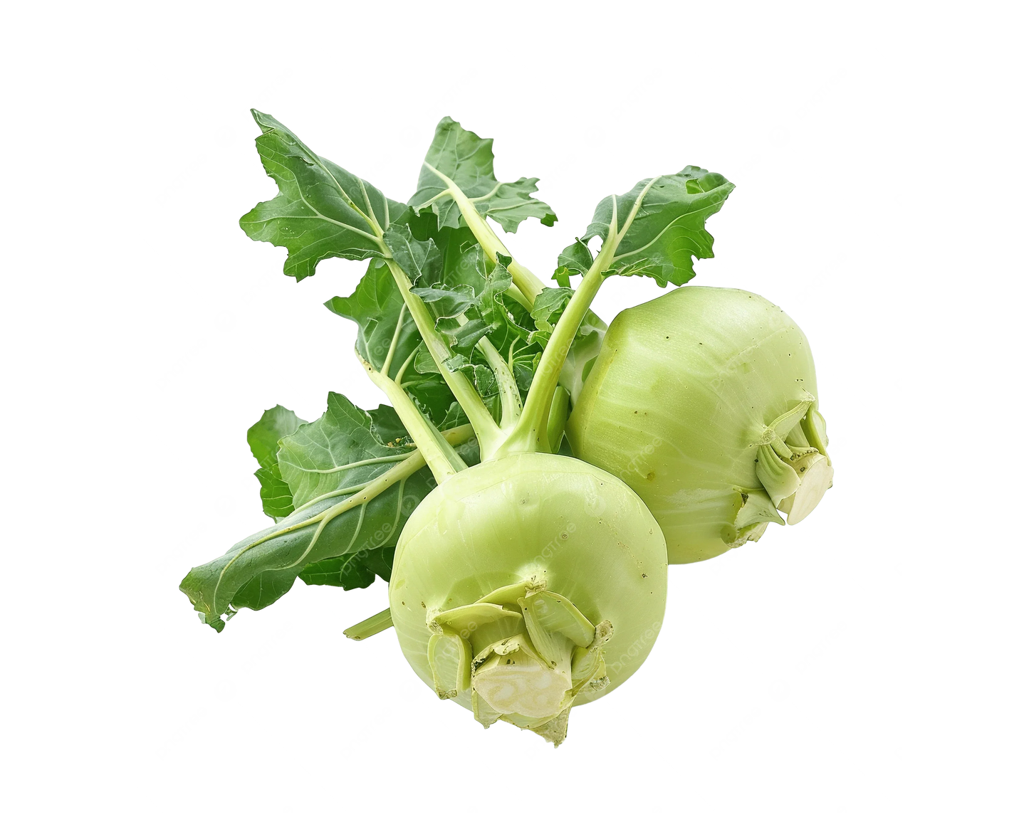 CORABI/ KHOLRABI - Kashmir Watan Foodstores