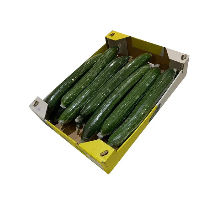 CUCUMBER BOX 14S - Kashmir Watan Foodstores