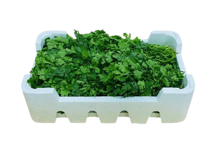 DHANIA / CORIANDER BOX