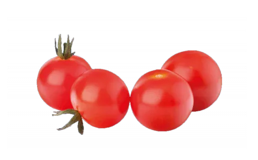 TOMATO DUTCH - Kashmir Watan Foodstores