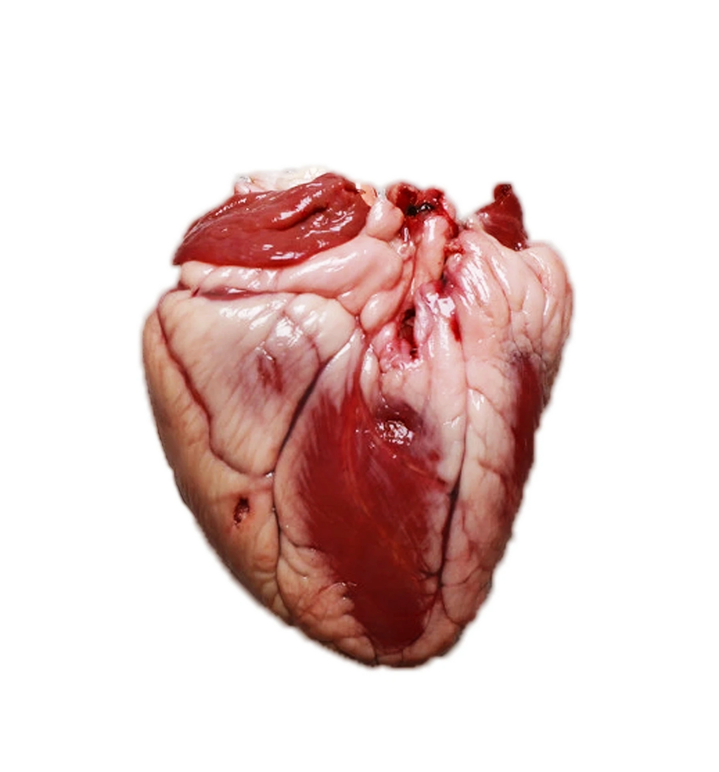 HEART LAMB/SHEEP Kashmir Watan Foodstroes