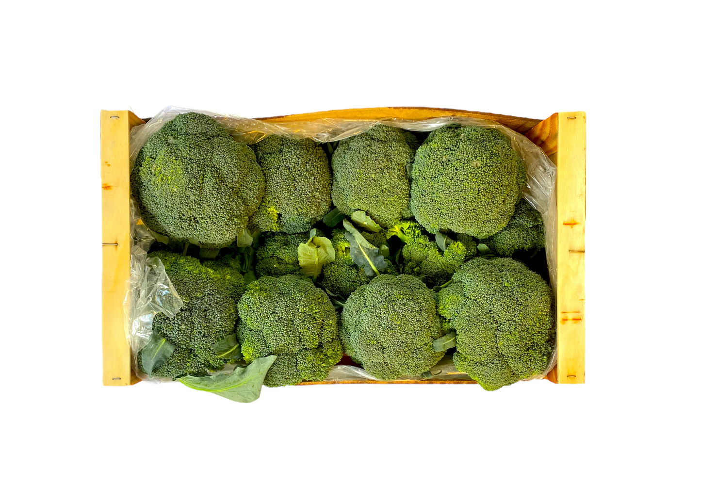 BROCCOLI BOX