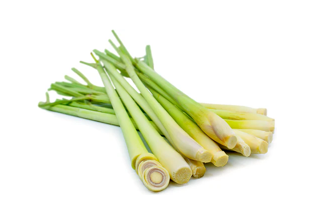 LEMON GRASS