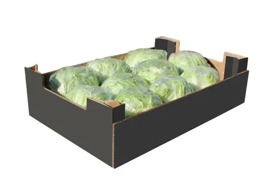 ICEBERG /LETTUCE BOX - Kashmir Watan Foodstores