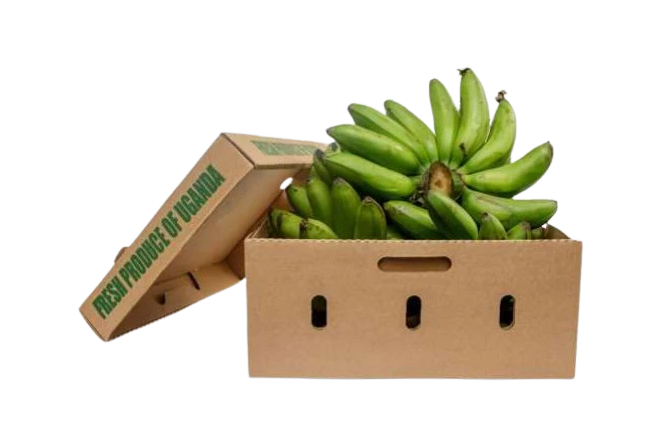 MATOKI BOX 8KG