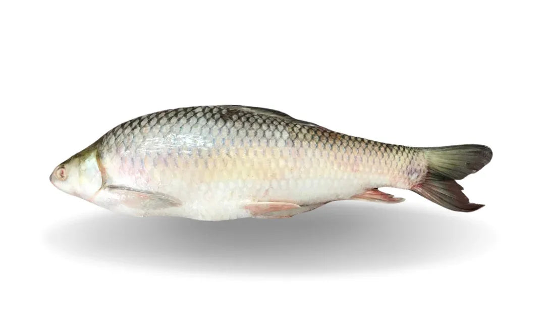 MIRGAL WHOLE - Kashmir Watan Foodstores