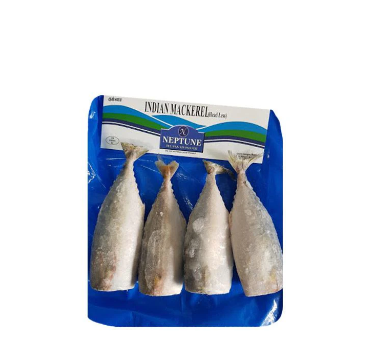 NEPTUNE MACKEREL 600G