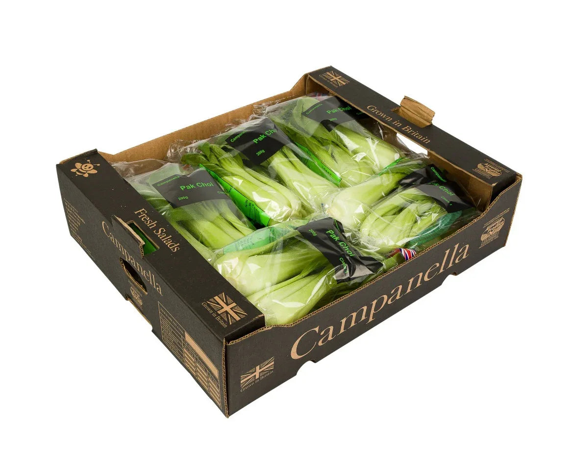 PAK /BOK CHOI BOX - Kashmir Watan Foodstores