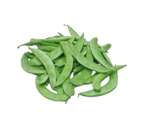 PAPDI SURTI
