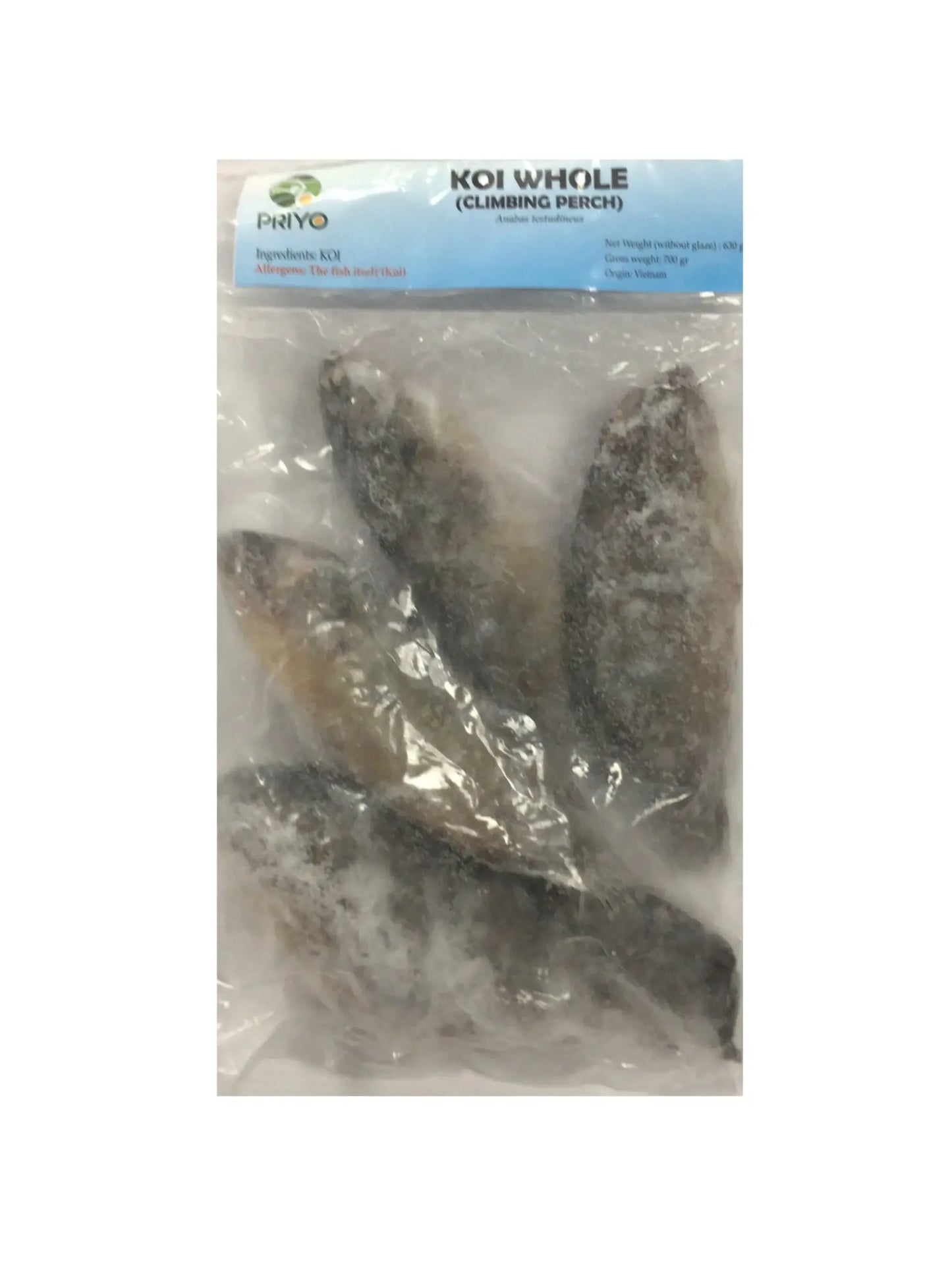 PRIYO PANGASH WHOLE 10X700/900 BOX - Kashmir Watan Foodstores