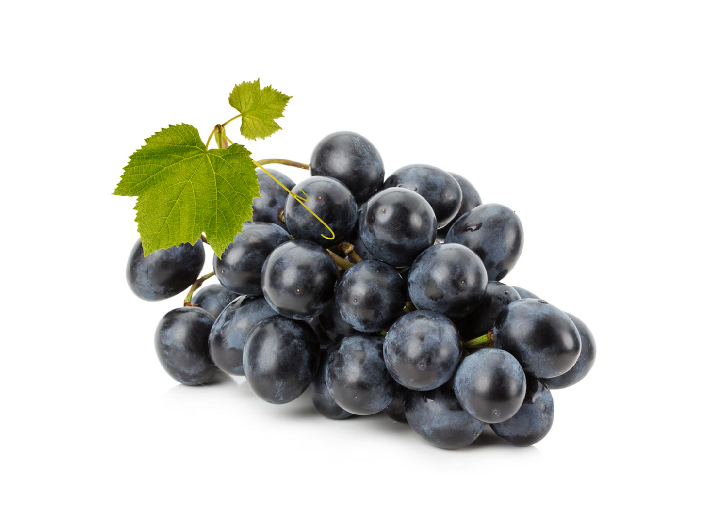 GRAPES PUNNET BLACK