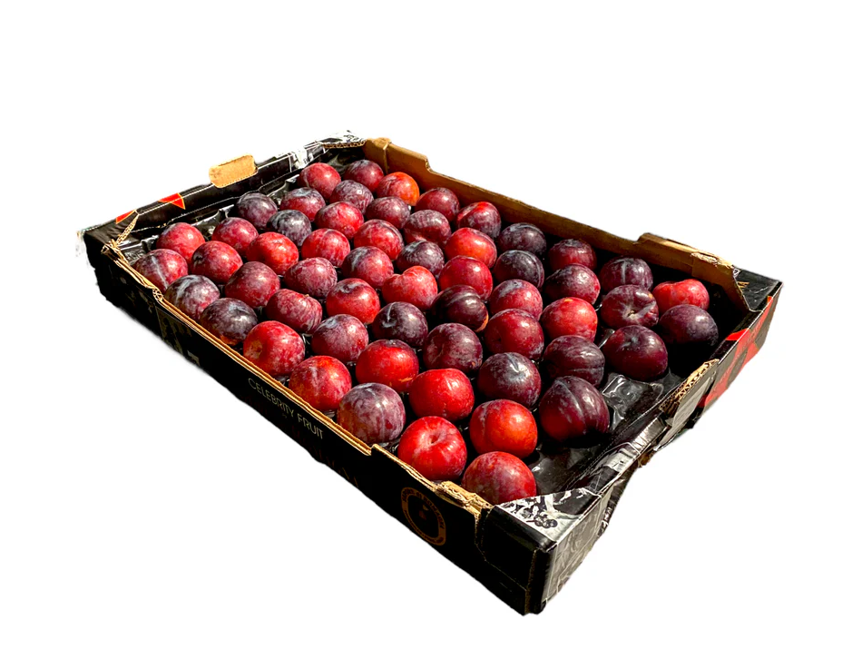 RED /BLACK PLUMS BOX5kg
