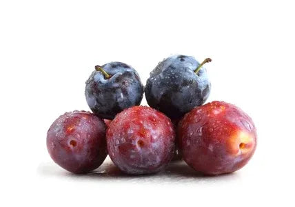 RED/BLACK PLUMS - Kashmir Watan Foodstores