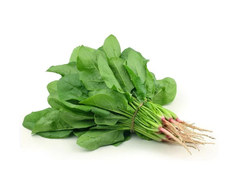 PALAK / SPINACH - Kashmir Watan Foodstores