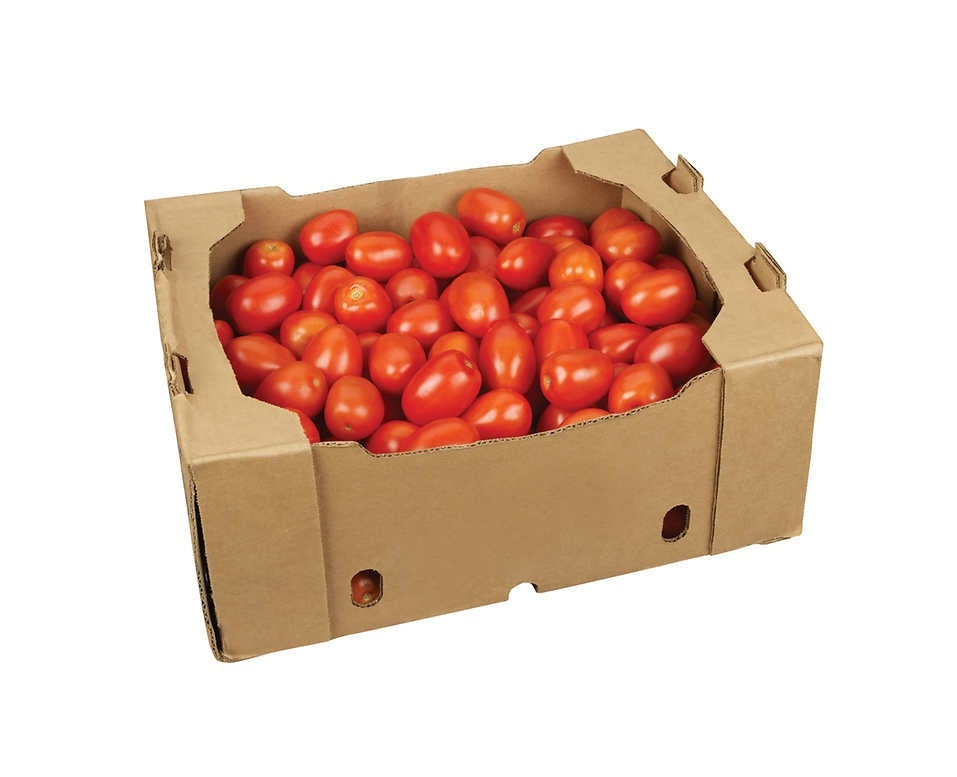 TOMATO CHEAP BOX