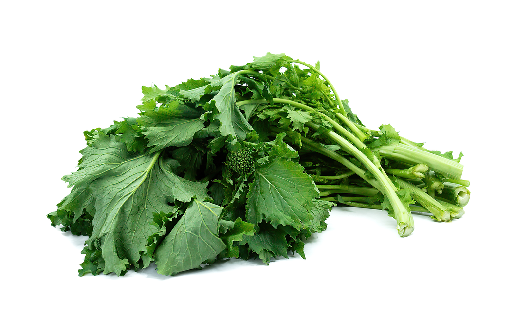 TURNIP LEAF
