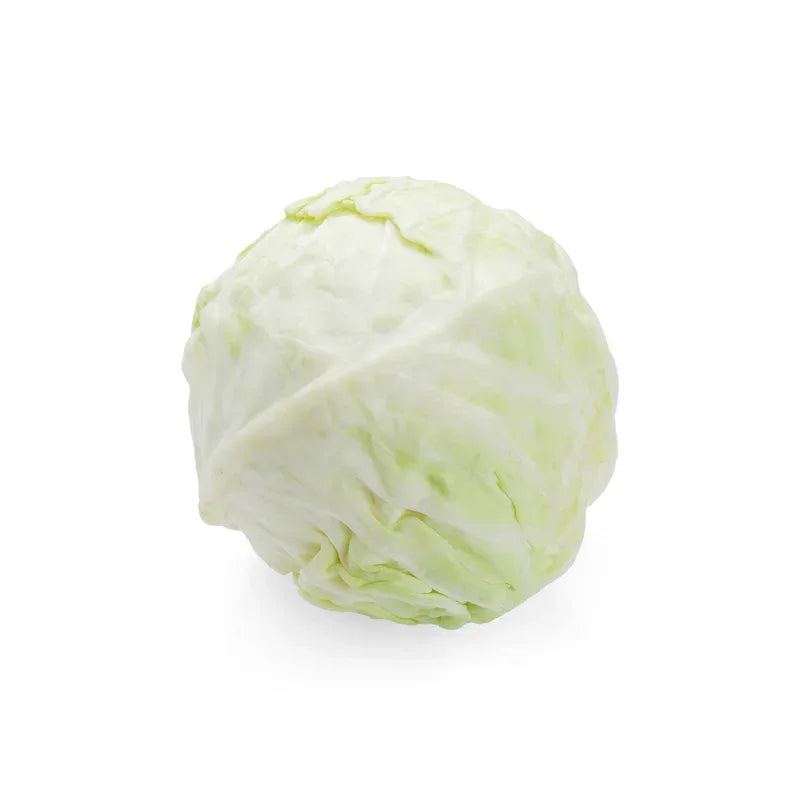 WHITE CABBAGE - Kashmir Watan Foodstores