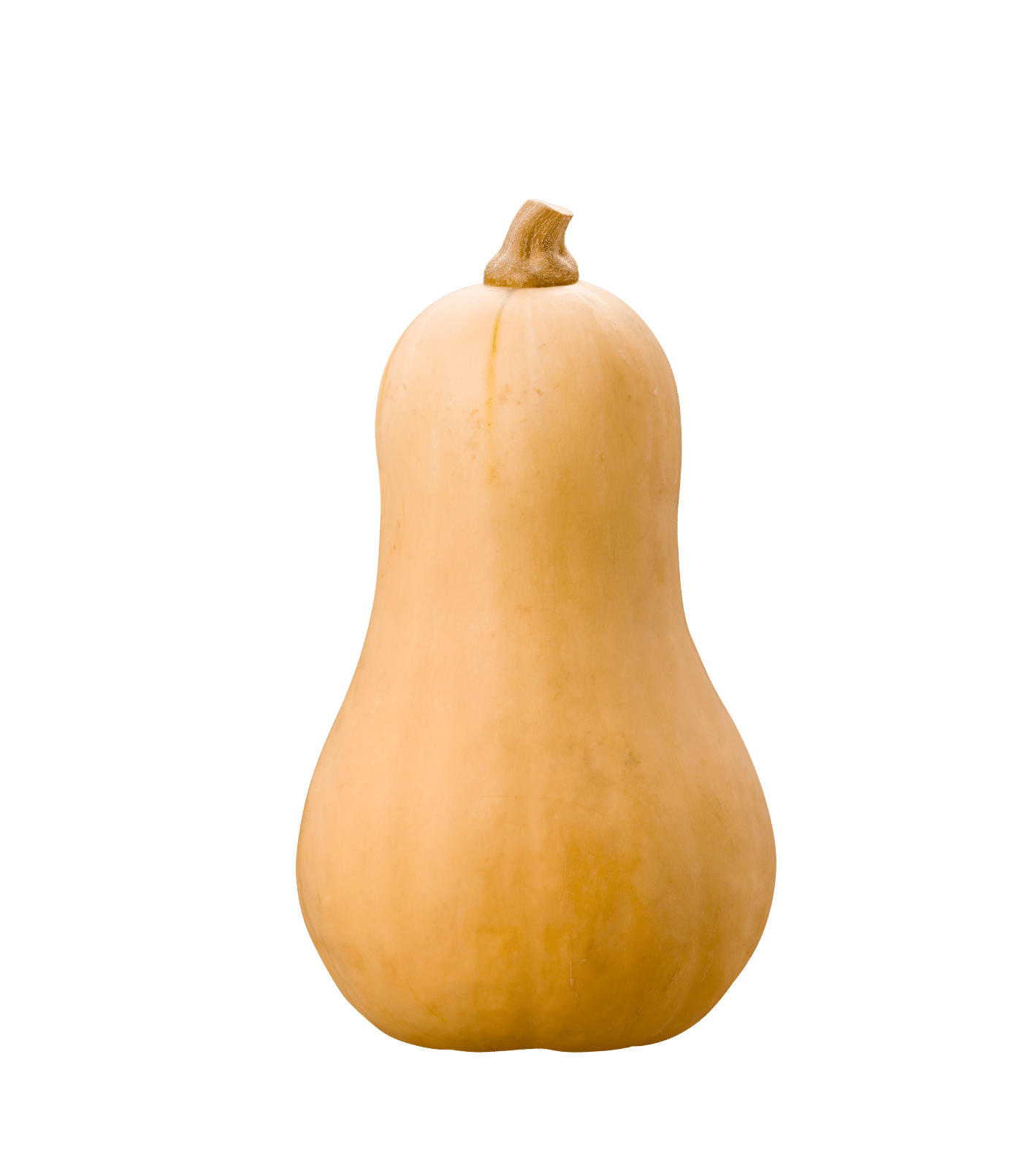 BUTTERNUT SQUASH