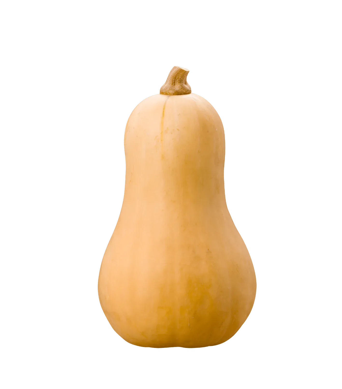 BUTTERNUT SQUASH - Kashmir Watan Foodstores