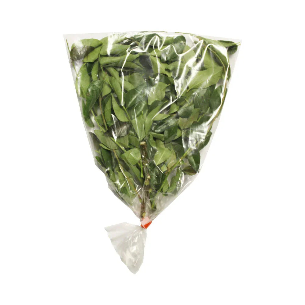 CURRY LEAF/ MEETHA NEEM - Kashmir Watan Foodstores