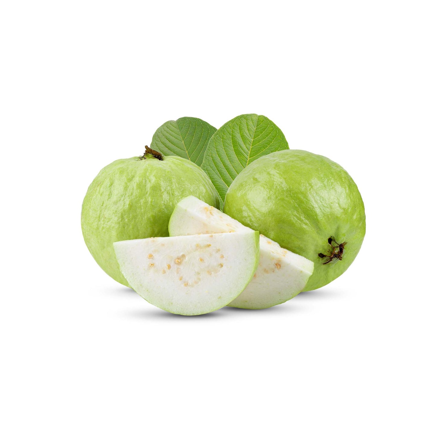 GUAVA / AMROOD