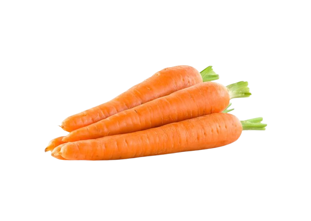 CARROTS