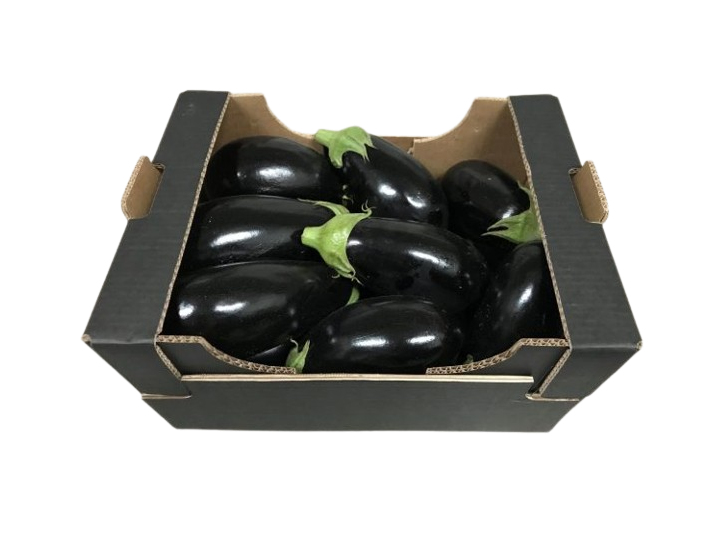 AUBERGINE REVIYA K BOX