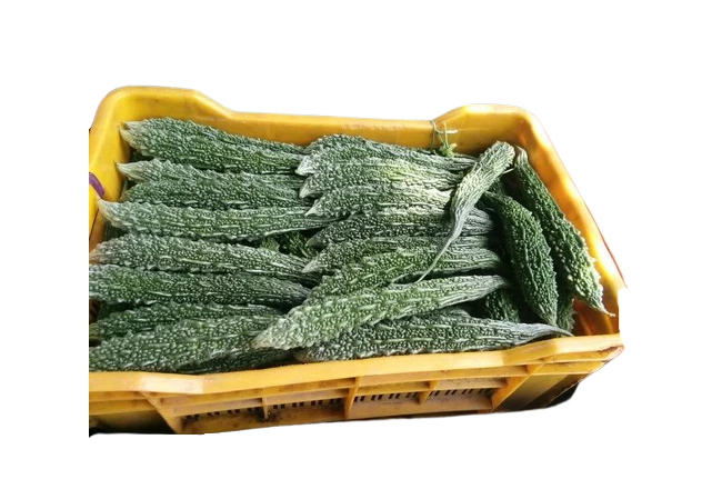 KARELA BOX BIG