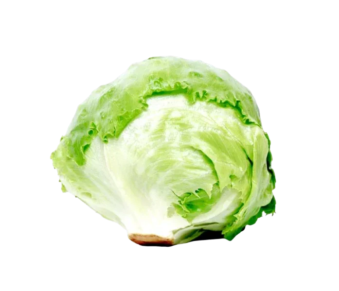 ICEBERG /LETTUCE - Kashmir Watan Foodstores