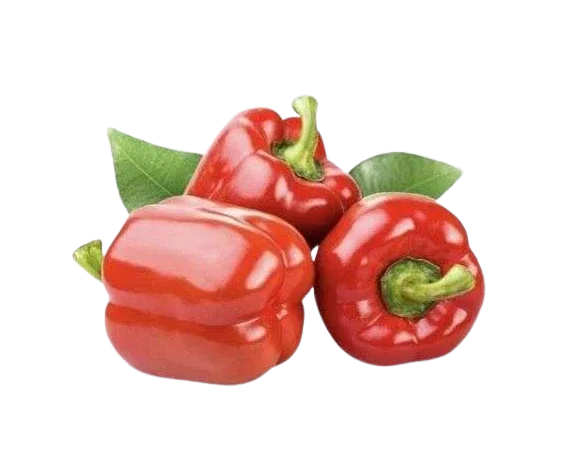 CAPSICUM RED - Kashmir Watan Foodstores