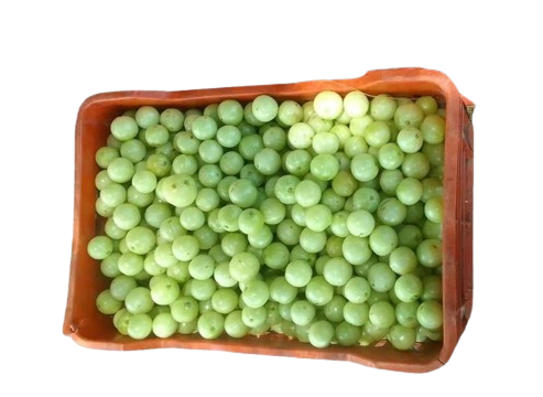 AMLA BOX