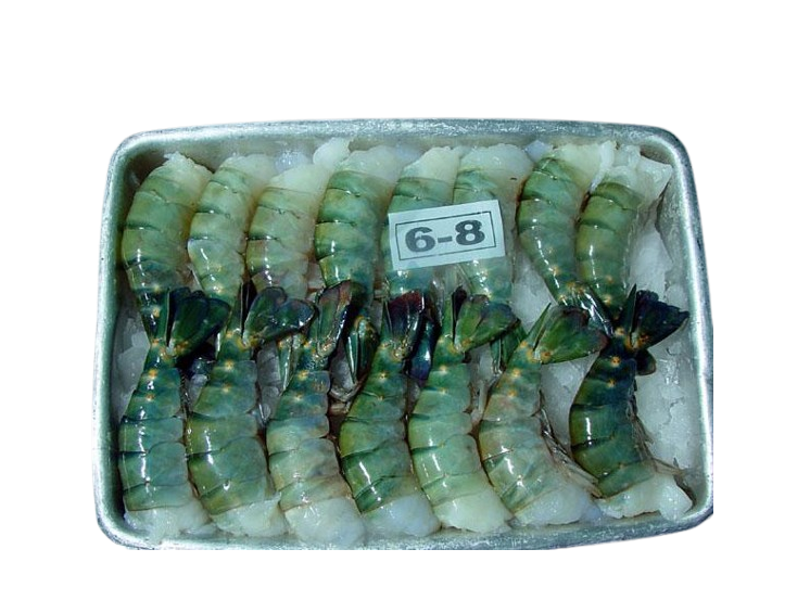 IBCO KING PRAWN 6/8 BLOCK 750g