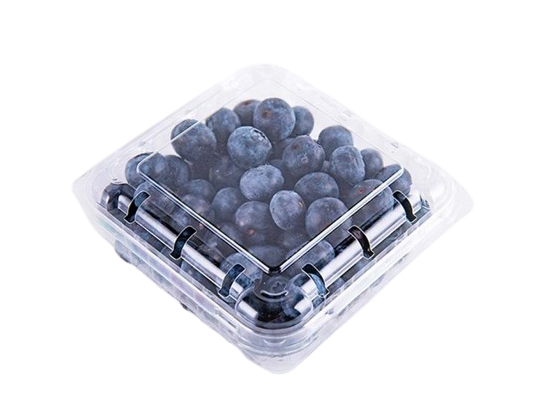 PP BLUE BERRY - Kashmir Watan Foodstores