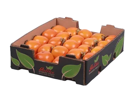 KAKI FRUIT BOX SHAROON FRUIT
