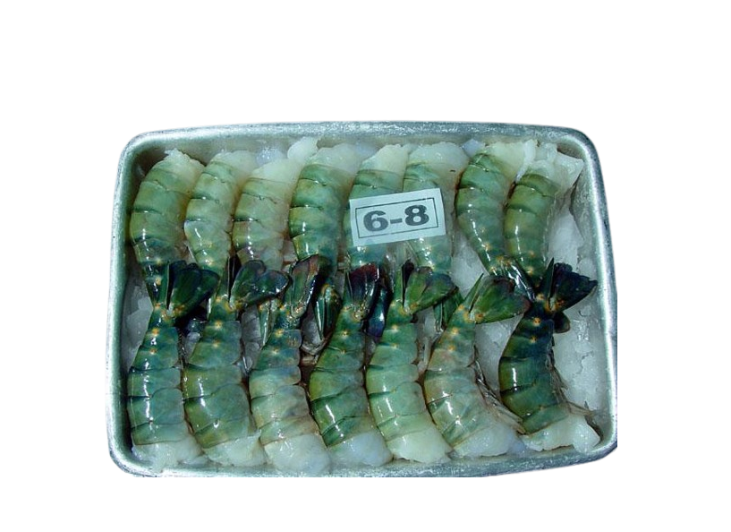 TIGER KING PRAWNS 6/8 BLOCK 700G