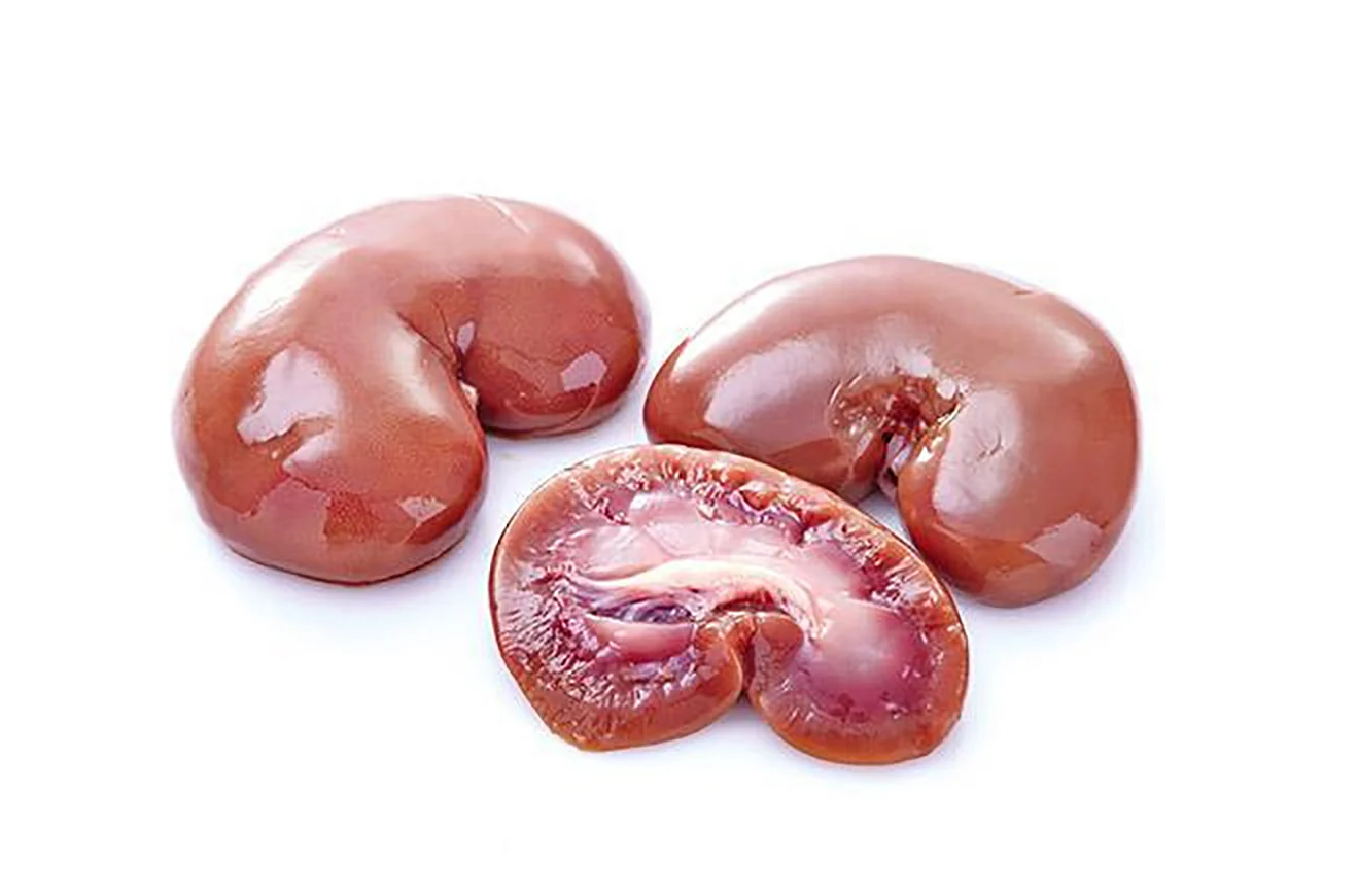 KIDNEY KIDNEY