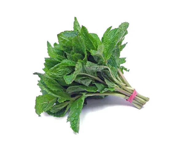 MINT/ PUDINA - Kashmir Watan Foodstores