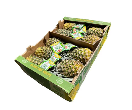 PINEAPPLE BOX