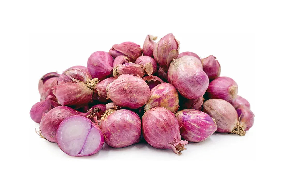 SHALLOT INDIAN ONION - Kashmir Watan Foodstores