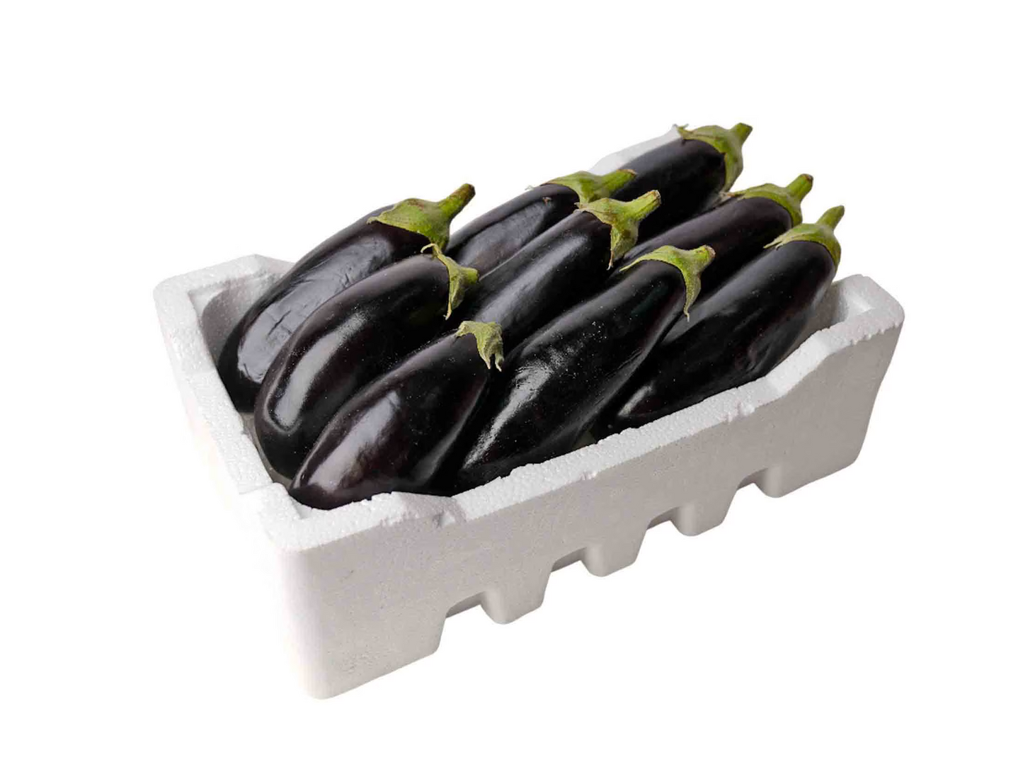 AUBERGINE PINK REVIYA/ BLACK BEAUTY BOX