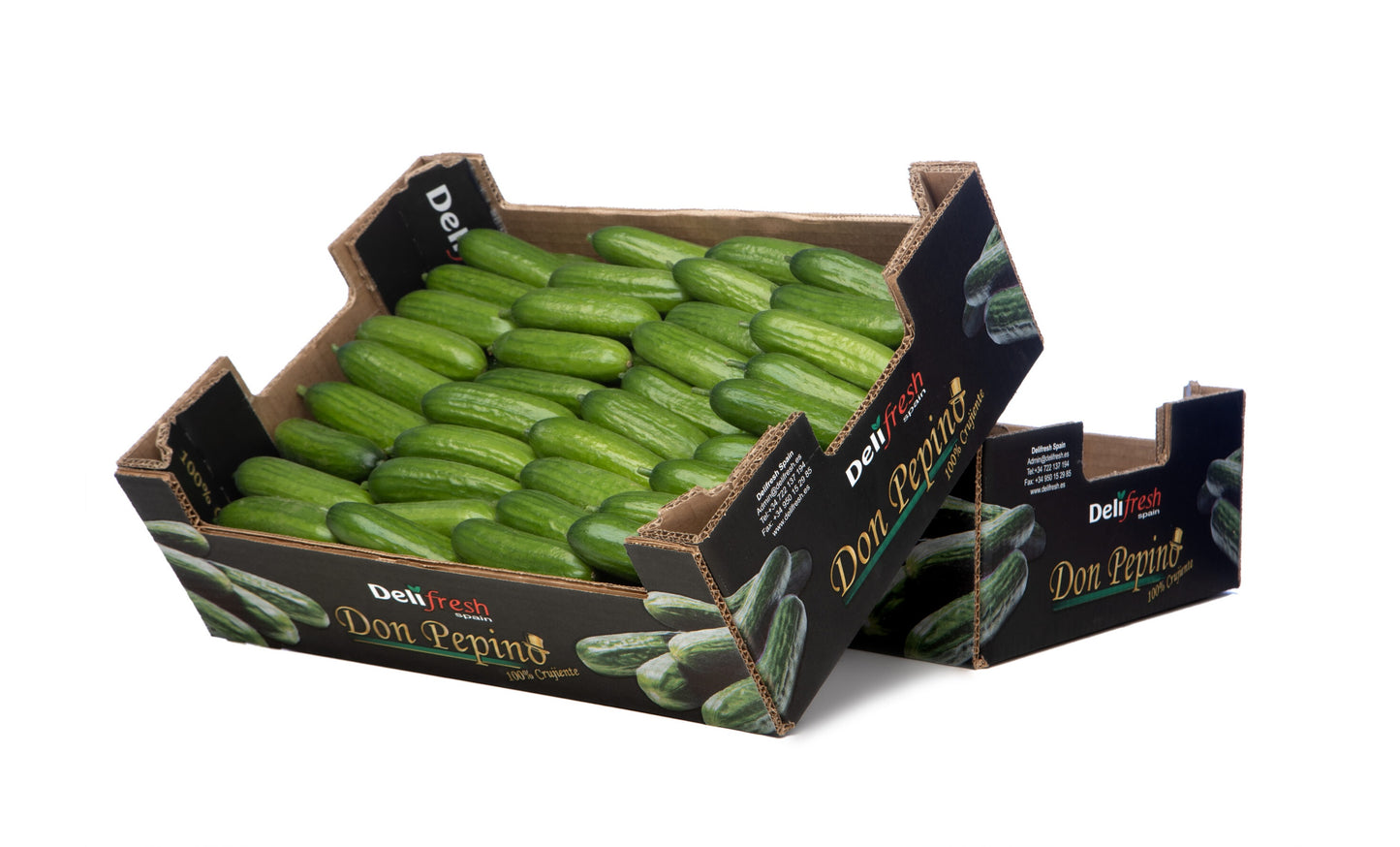 BABY CUCUMBER BOX