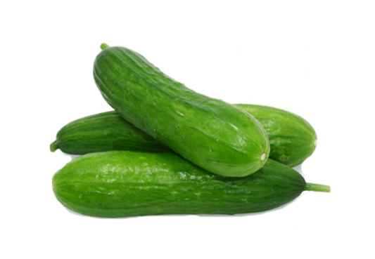 BABY CUCUMBER