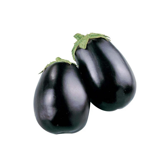 AUBERGINE PINK REVIYA/ BLACK BEAUTY