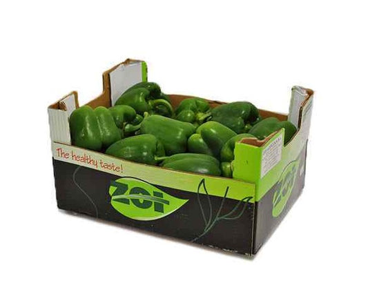 CAPSICUM GREEN BOX 5KG
